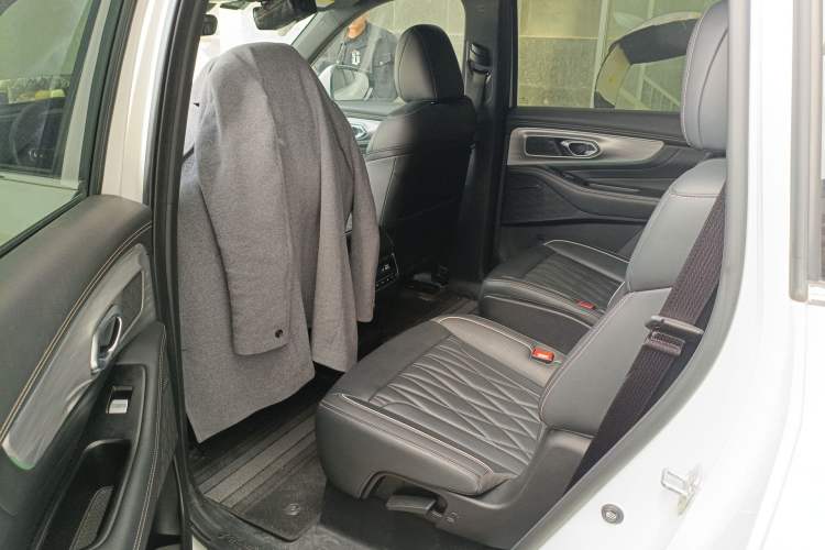 Used GAC Trumpchi GS8 2022 Linghang Series 2.0 TGDI Two-Wheel Drive Luxury Smart Connectivity Version (6 Seats) Left Rear Seat