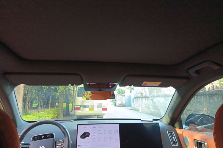 Used Li Auto L6 2024 Pro Model Headliner