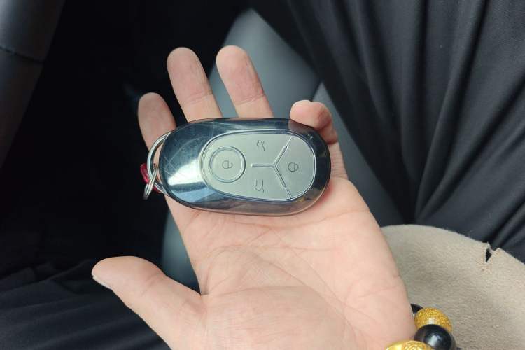 Used Geely Galaxy Geome 2025 310km Youth Edition