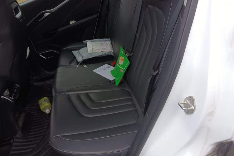 Used NETA U 2022 Zhi400 Pro Ternary Lithium Left Rear Seat