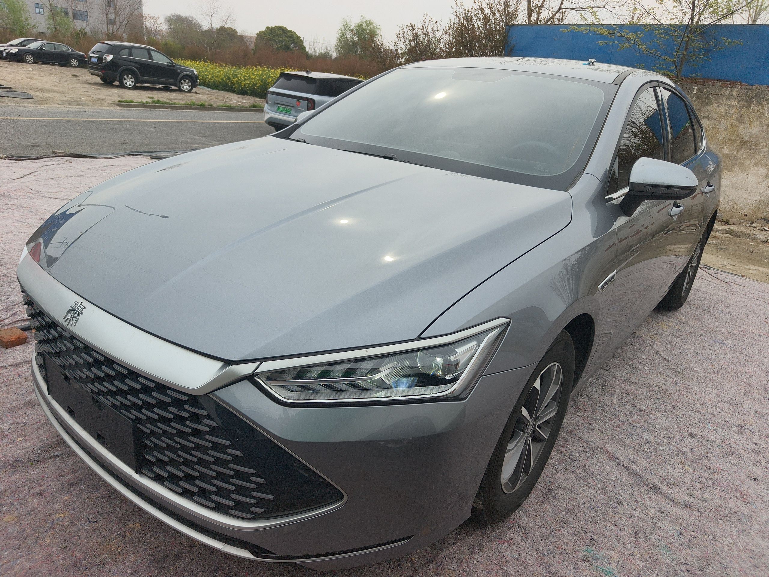 Parte inferior delantera