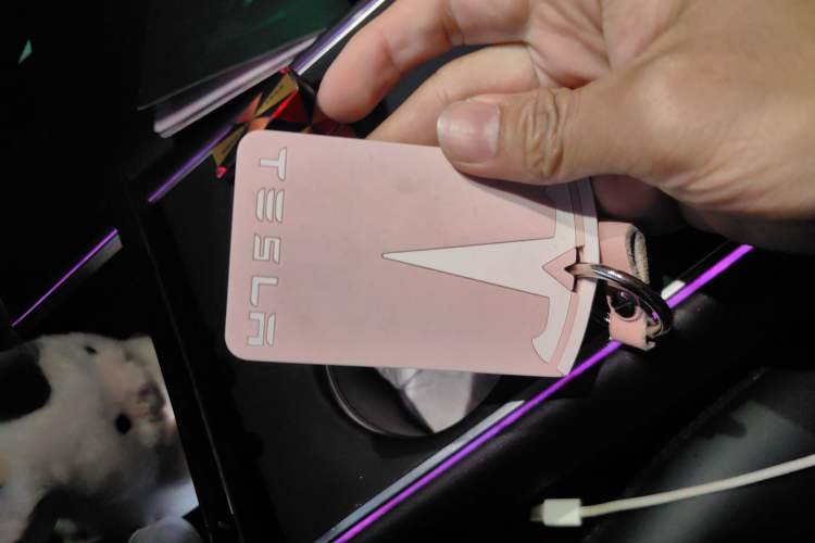 Used Tesla Model 3 2020 Standard Range Rear-Wheel Drive Upgraded Version
