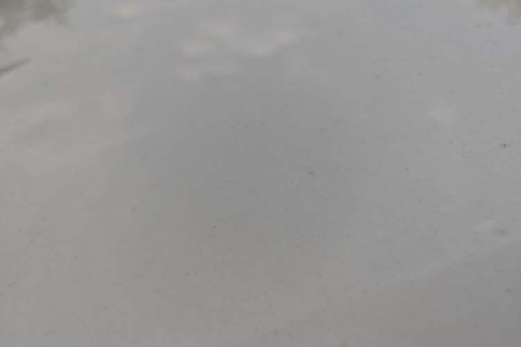 Used BYD Seagull 2024 Honor Edition 305km Dynamic Version