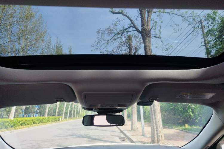 Used Ford Escape 2020 EcoBoost 245 Four-Wheel Drive Luxury Edition Headliner