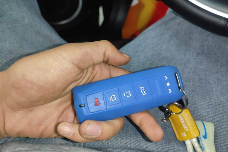 Used Wey VV6 2021 2.0T Two-Wheel Drive Smart Plus