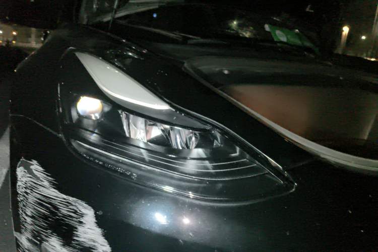 Used Tesla Model 3 2021 Standard Range Rear-Wheel Drive Upgraded Version 3D6