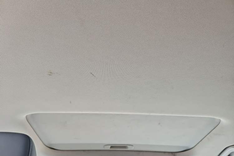 Used Geometry E Firefly 2022 401 km Linglong Tiger 4 Seats
