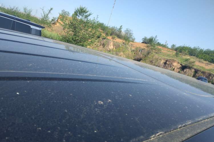 Used Hongqi HQ9 PHEV 2024 2.0T Four-Wheel Drive Business Edition Roof