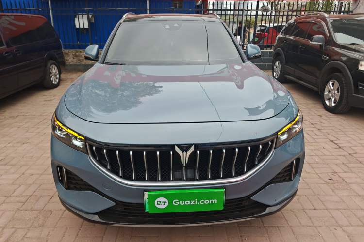 Used VOYAH FREE 2021 Four-Wheel Drive Standard Range-Extended Exclusive Luxury Package
