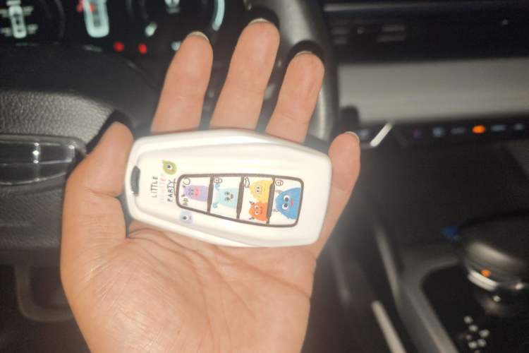 Used Geely Auto Preface 2021 2.0TD Flagship Edition Vehicle Key