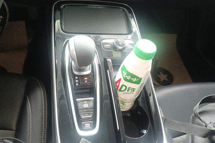 Used AION S 2020 Meizu 580 Gear Lever