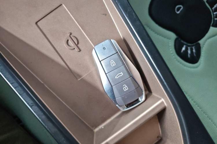 Used SOL E10X 2022 Flower Fairy Design Dandelion