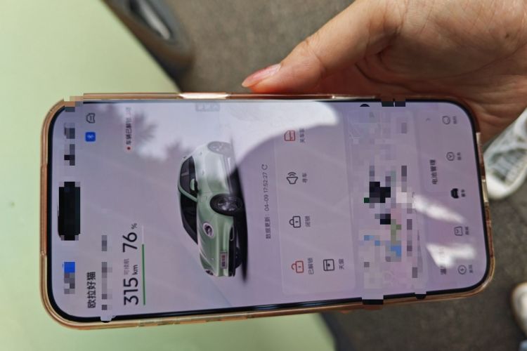 Used ORA Good Cat 2024 401 km Luxury Version Vehicle Key