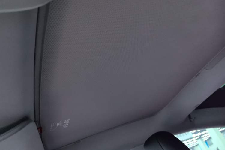 Used Tesla Model 3 2023 Rear-Wheel-Drive Version Headliner