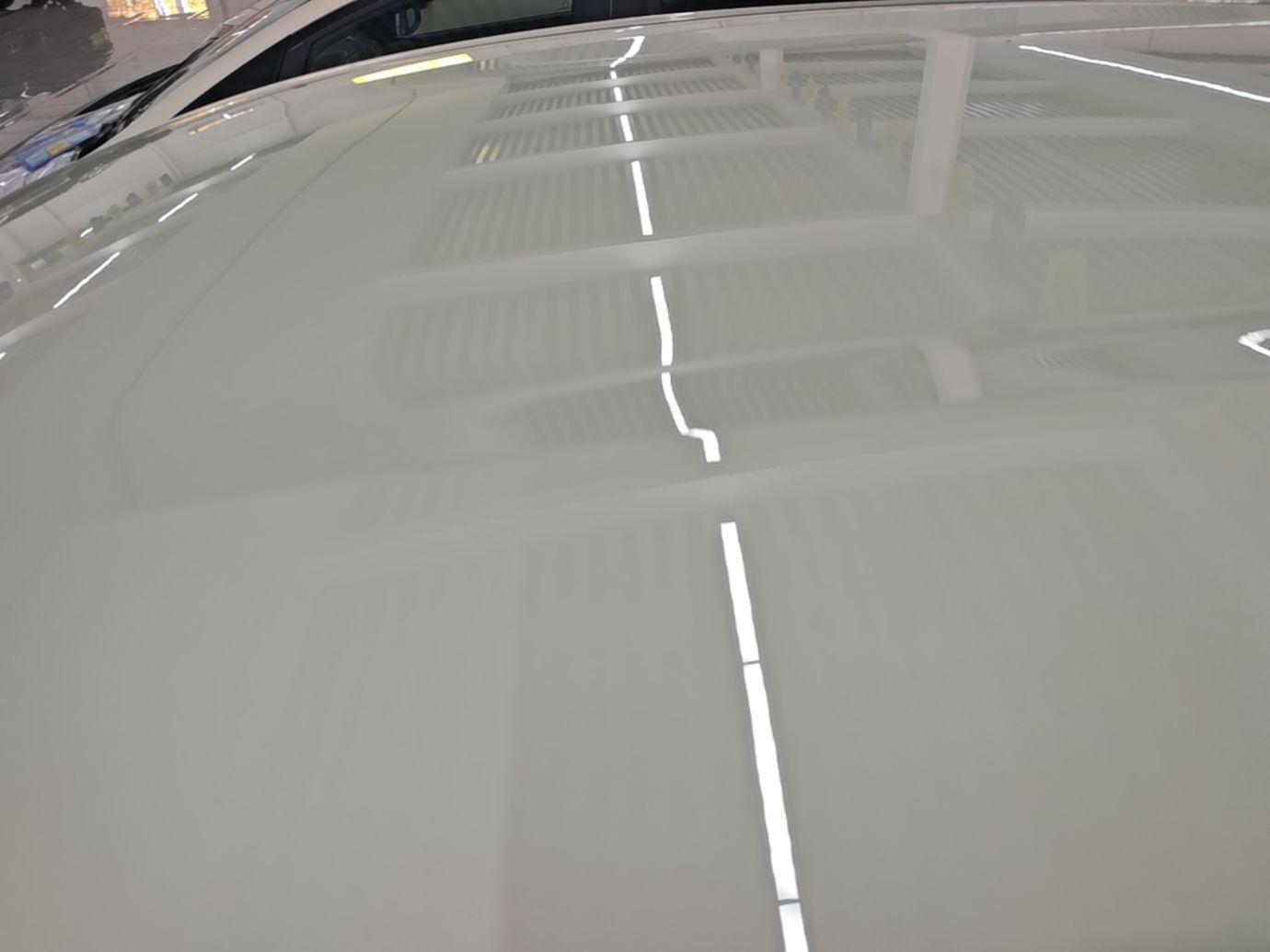 BYD Dolphin 2025 420km Free Edition — снимка 7