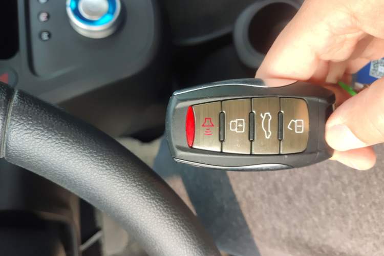 Used ORA White Cat 2020 305 km Luxury Version
