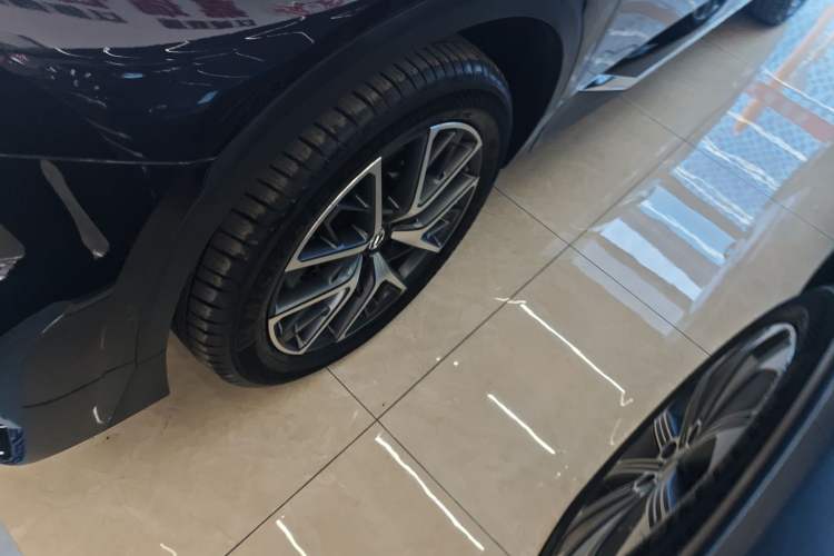 Used GAC Trumpchi GS8 2024 Linghang Series 2.0 TGDI Two-Wheel Drive Luxury Smart Connectivity Version Exterior 4