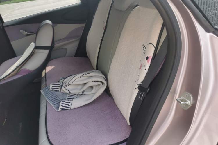 Used BYD Dolphin 2021 401km Knight Edition Left Rear Seat