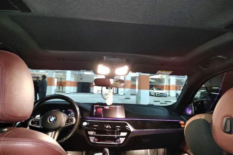 Used BMW 5 Series 2020 530Li Leading Model M Sport Package Headliner