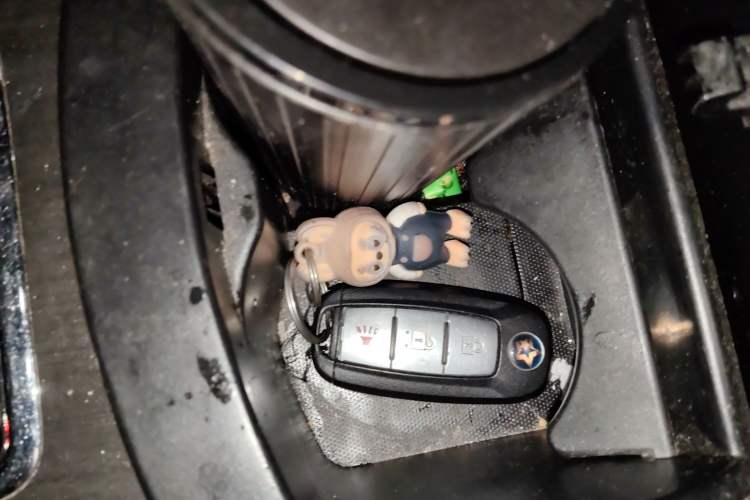 Used Venucia T90 2018 2.0L CVT Smart Connect Luxury Edition China V Standard