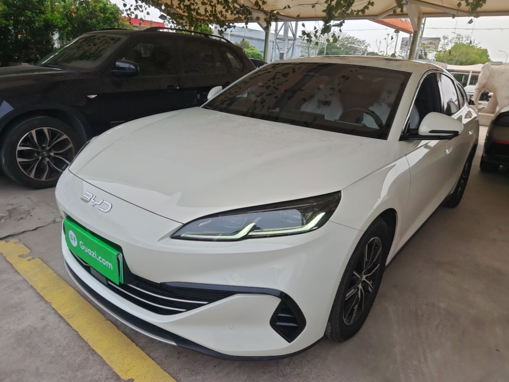 تحت مقدمة السيارة