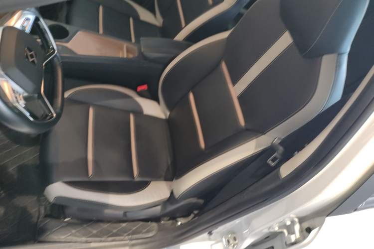 Used SOL E10X 2022 Flower Fairy Style Baby's Breath
