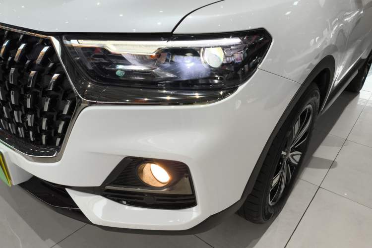 Used Haval H6 2023 National Trend Edition 1.5T Automatic Champion Version