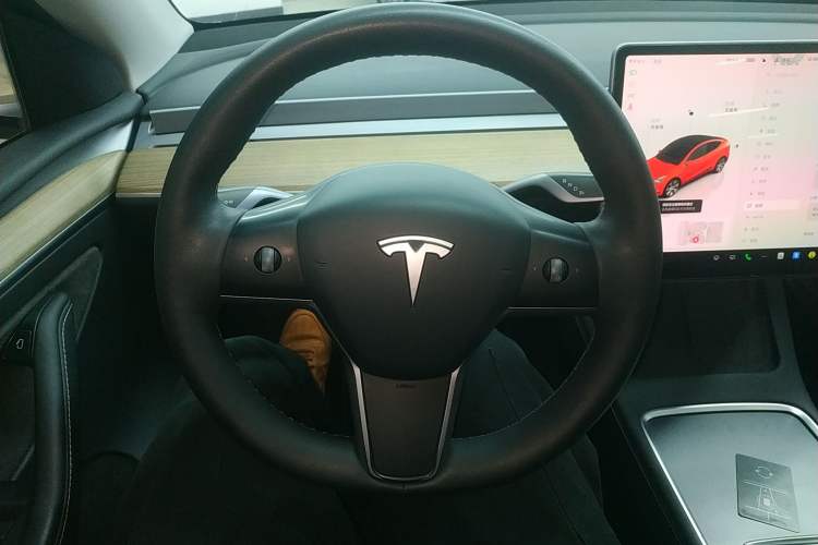 Used Tesla Model Y 2022 Revised Version Rear-Wheel Drive
