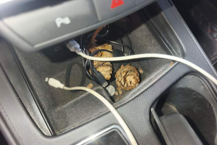 Used Cadillac XT4 2018 28T Two-Wheel Drive Tech Version