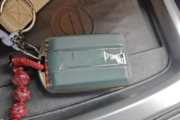 Used Tank 300 2021 City Edition 2.0T Essential Model
