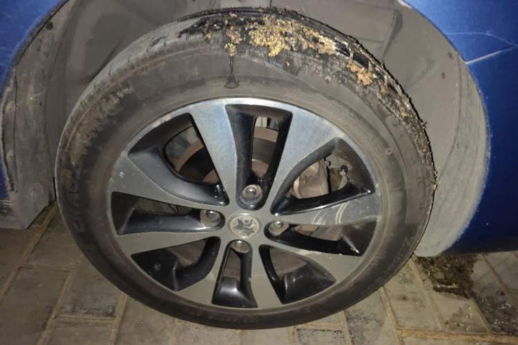 Used Venucia M50V 2017 1.6L XL CVT Luxury Edition
