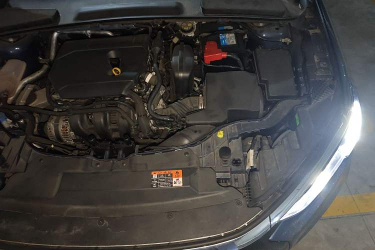 Used Ford Escort 2021 1.5L Automatic Diamond Edition
