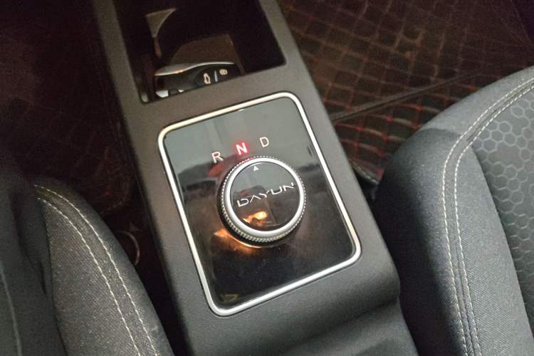 Used Dayun Yuehu 2023 300 Standard Edition
