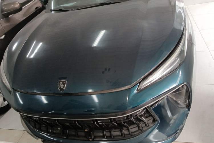 Used FORTHING T5 EVO 2021 1.5TD DCT Starry Edition