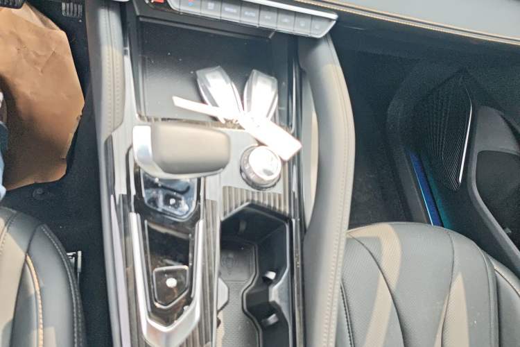 Used Geely Auto Monjaro L 2024 2.0TD DCT EVO Two-Wheel Drive Long-Range Version
