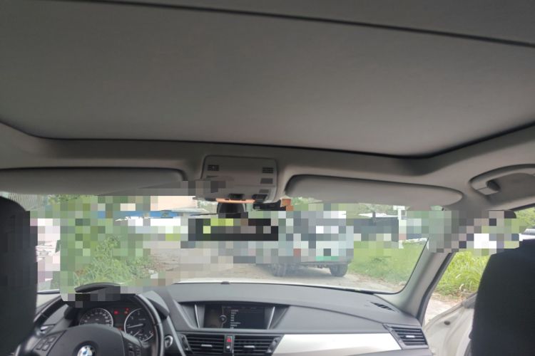 Used BMW X1 2010 sDrive18i Luxury Model Headliner