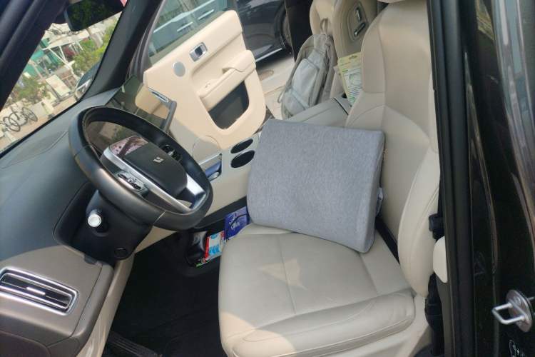 Used Li Auto L9 2022 Max model Left Front Seat