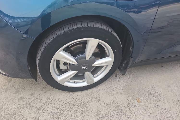 Used ORA Good Cat 2021 400km Standard Range Athena Edition Lithium-Ion Battery
