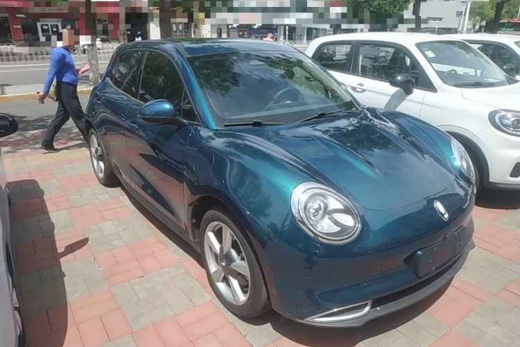 Used ORA Good Cat 2021 400km Standard Range Venus Edition Lithium-Ion Battery

