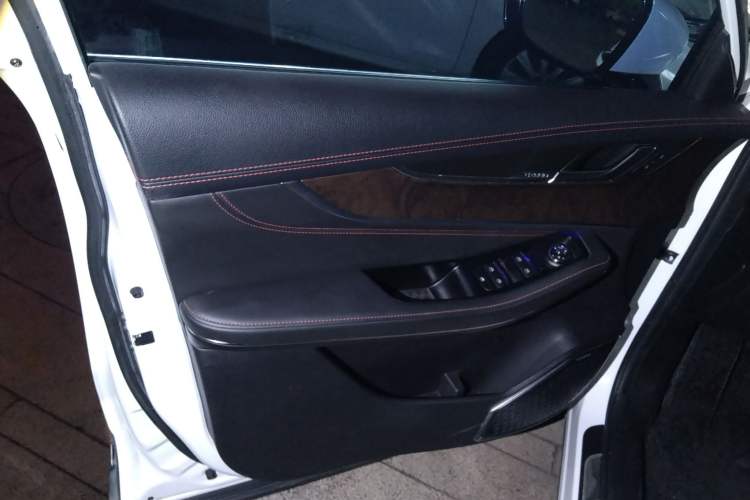 Used EXEED Zhuifeng 2020 Chasing the Waves Edition 1.5T CVT Xingrui Version Left Front Door Interior