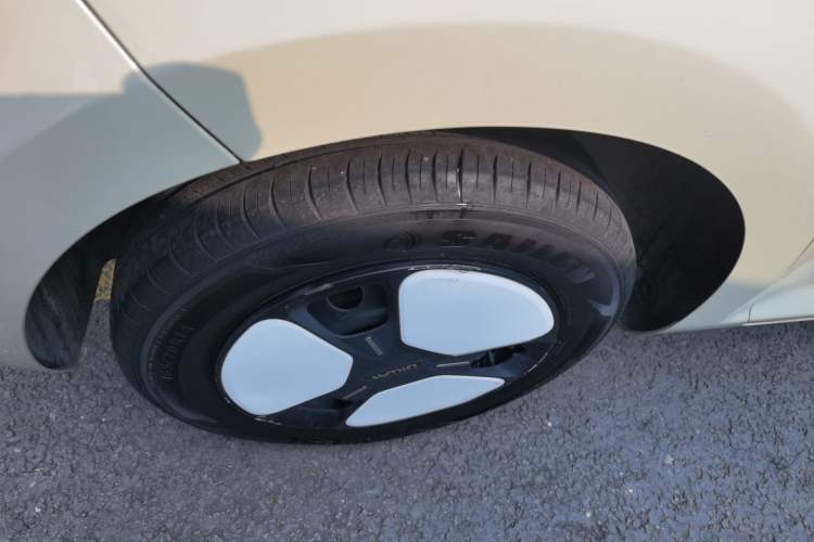 Used Qiyuan Lumin 2022 301km Honey-Sweet Version
