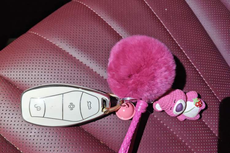 Used Hongqi H5 2025 1.5T DCT Qiyun 500 000th Unit Commemorative Edition Vehicle Key