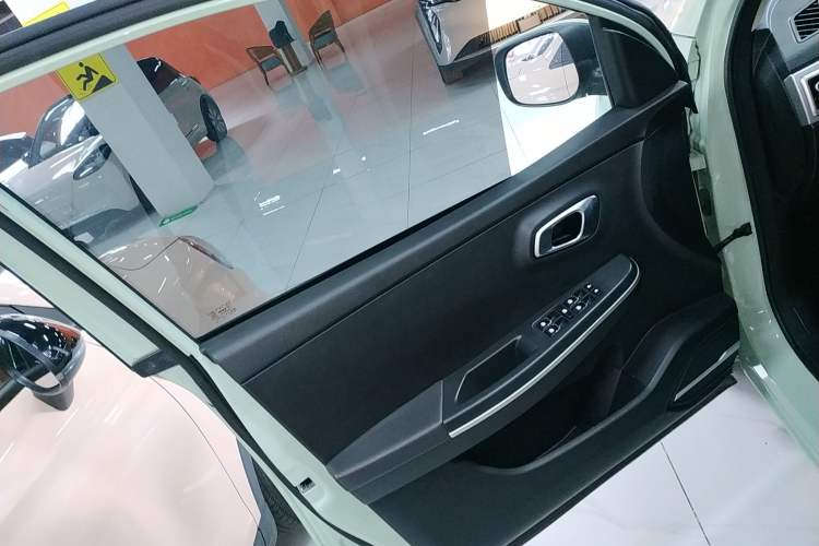 Used Dayun Yuehu 2022 30.66 kWh Two-Wheel Drive Standard Version
