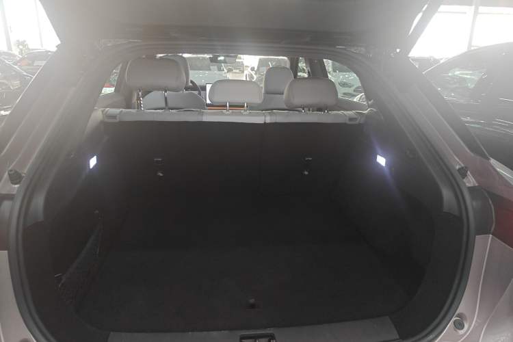 Used VOYAH COURAGE 2024 Four-Wheel Drive Global Edition