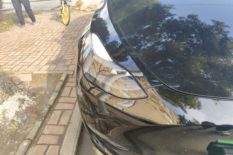 Used Tesla Model Y 2021 Standard Range Rear-Wheel Drive Version