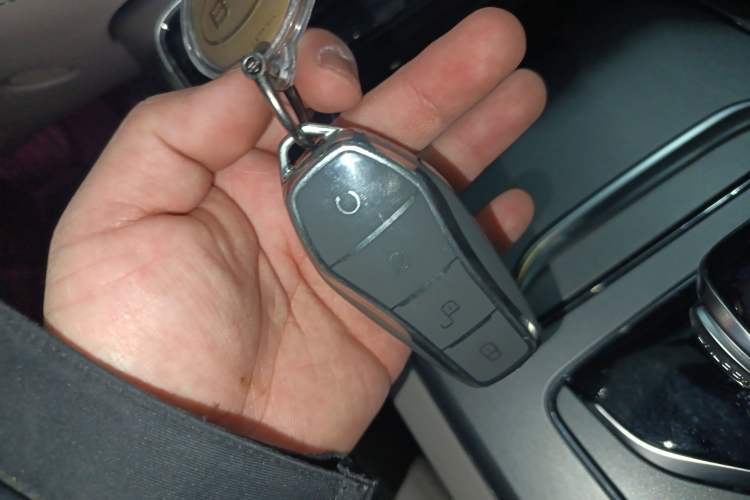 Used BYD Tang New Energy 2024 DM-i Glory Edition 112KM Prestige Model
