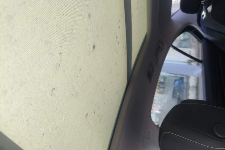 Used Volkswagen Magotan 2020 330TSI DSG Luxury Edition Headliner