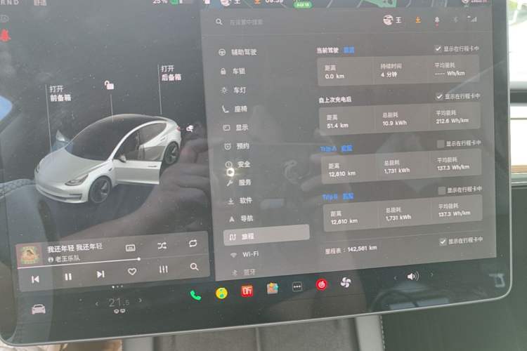 Used Tesla Model 3 2021 Standard Range Rear-Wheel Drive Upgraded Version 3D6
