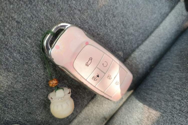 Used AION Y 2022 70 Enjoyment Edition Lithium Iron Phosphate