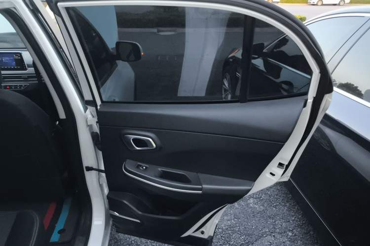 Used Dayun Yuehu 2022 30.66 kWh Two-Wheel Drive Standard Version
